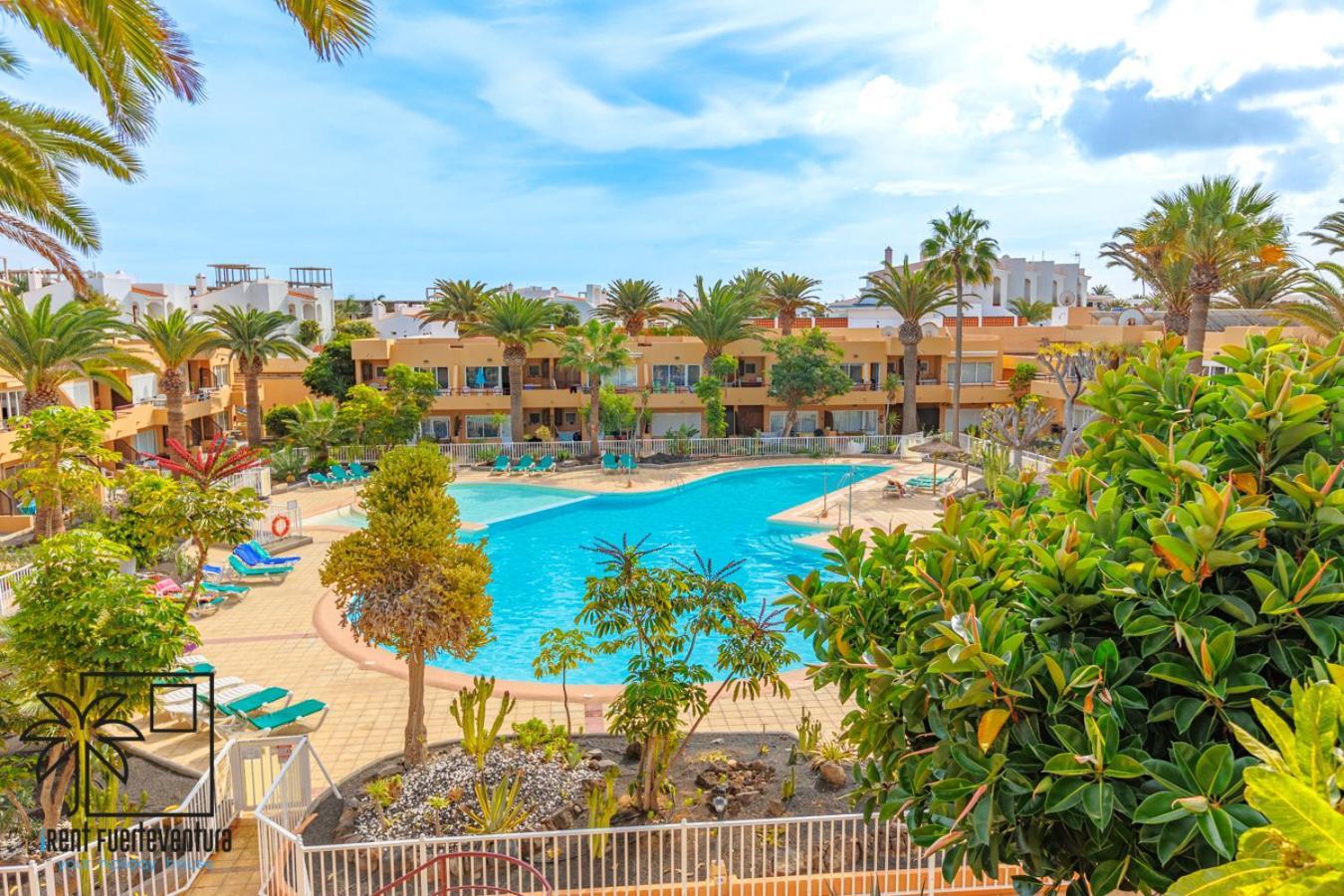 شقة Hola Bent Pool And Terrace Irent Fuerteventura كوراليهو المظهر الخارجي الصورة